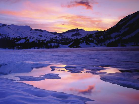 Premium Photographic Print, , large