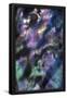 Essential Black