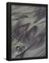 Essential Black