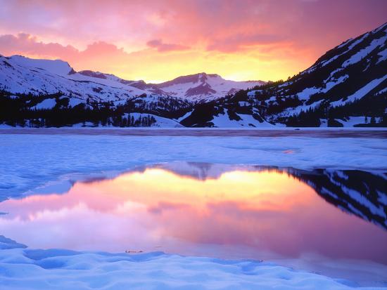 Premium Photographic Print, , large