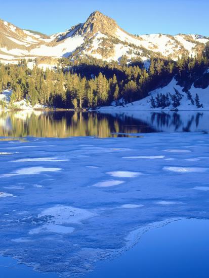Premium Photographic Print, , large
