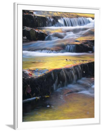 Framed Photographic Print, , large