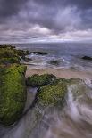 USA, New Jersey, Cape May National Seashore. Storm waves and moss-covered rocks.-Jaynes Gallery-Photographic Print