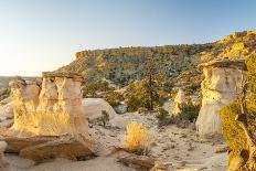 USA, New Mexico, Ojito Wilderness. Eroded desert rocks.-Jaynes Gallery-Photographic Print