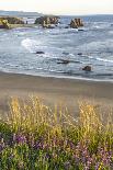 USA, Oregon, Bandon Beach. Sea stack on ocean shore and blooming flowers.-Jaynes Gallery-Photographic Print