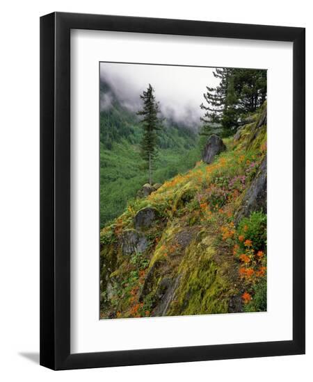 Premium Photographic Print, , large