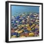 Black Frame