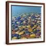 Brown Frame