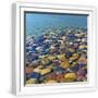 White Frame