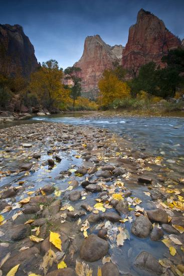 Premium Photographic Print, , large