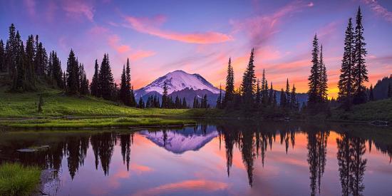 Photographic Print, , large