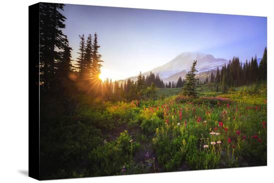 Stretched Canvas Print, , large