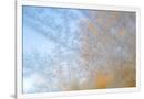 Gramercy White