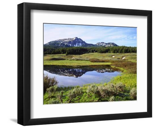 Premium Photographic Print, , large