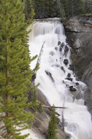 USA, Wyoming, Shoshone National Forest. Brooks Lake Creek Falls landscape.