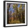 Black Frame