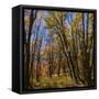 Canvas Black