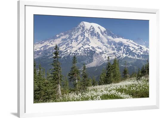 Framed Photographic Print, , large