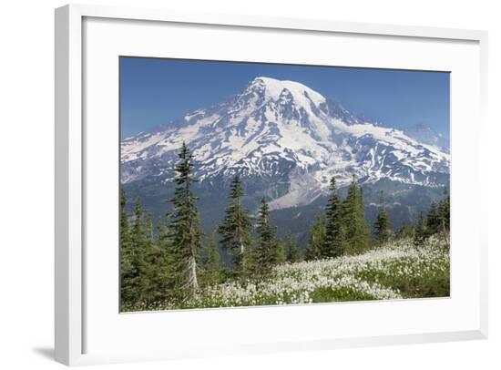Framed Photographic Print, , large