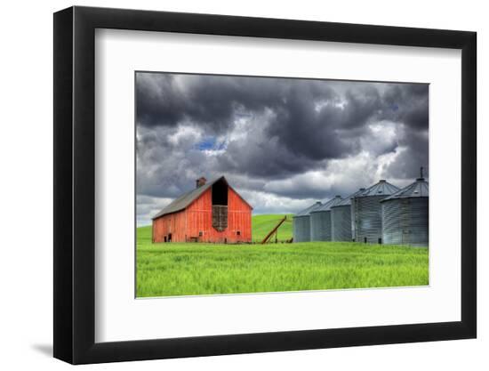 Photographic Print, , large