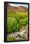 Essential Black