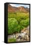 Canvas Black