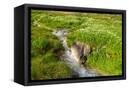 Canvas Black