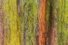 Laminate
