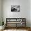 Jazz Composer and Pianist Eddie Heywood at the Piano in His Home on Martha's Vineyard-Alfred Eisenstaedt-Photographic Print displayed on a wall