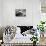 Jazz Composer and Pianist Eddie Heywood at the Piano in His Home on Martha's Vineyard-Alfred Eisenstaedt-Photographic Print displayed on a wall