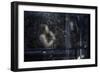 Jazz Mood-Vito Guarino-Framed Photographic Print