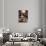 Jazz Night Out-Brent Heighton-Art Print displayed on a wall