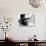 Jazz On A Summer's Day, Thelonious Monk, 1960-null-Photo displayed on a wall