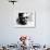 Jazz On A Summer's Day, Thelonious Monk, 1960-null-Framed Photo displayed on a wall