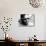 Jazz On A Summer's Day, Thelonious Monk, 1960-null-Mounted Photo displayed on a wall