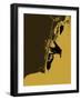 Jazz Orange-NaxArt-Framed Art Print