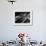 Jazz Pianist Mary Lou Williams's Hands on the Keyboard During Jam Session-Gjon Mili-Framed Premium Photographic Print displayed on a wall