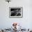 Jazz Pianist Mary Lou Williams's Hands on the Keyboard During Jam Session-Gjon Mili-Framed Premium Photographic Print displayed on a wall