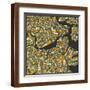 Brown Frame