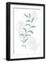 Jazzy Leaves-1x Studio II-Framed Giclee Print