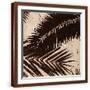 Brown Frame
