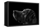 Canvas Black