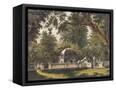 Canvas Black