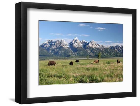 Premium Photographic Print, , large