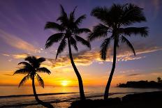 Beautiful Sunset on a Hawaiin Beach with Palm Trees-jdross75-Stretched Canvas