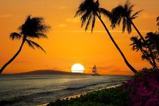 Beautiful Sunset on a Hawaiin Beach with Palm Trees-jdross75-Framed Photographic Print