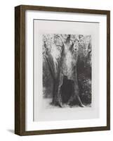 Je Me Suis Enfonce Dans La Solitude, 1896-Odilon Redon-Framed Giclee Print