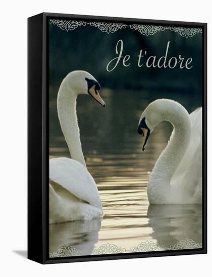 Je t'Adore-Robert Harding-Framed Stretched Canvas