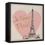 Je t'aime Paris!-Nicholas Biscardi-Framed Stretched Canvas