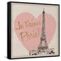 Je t'aime Paris!-Nicholas Biscardi-Framed Stretched Canvas